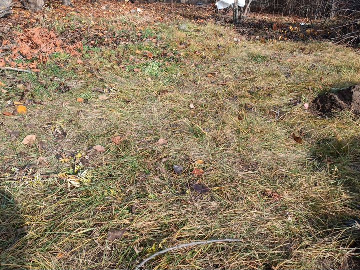 Участок 58,4 сот. (ИЖС)