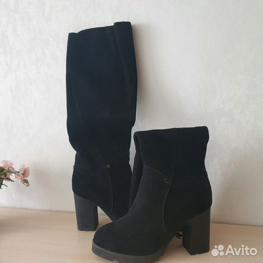 Сапоги