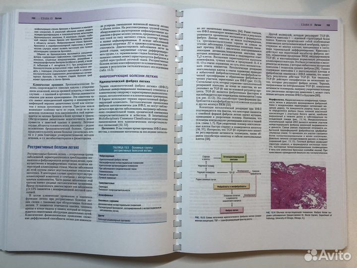 Основы патологии заболеваний по роббинсу и котрану