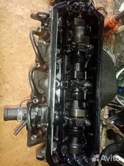 Гбц т4, гольф3