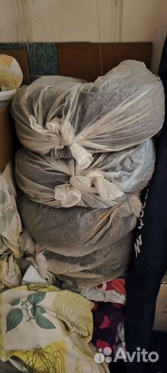 Roadstone Winguard WinSpike 205/55 R16