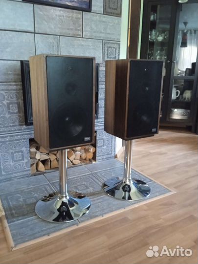Magnat Monitor D нч динамик 250 мм