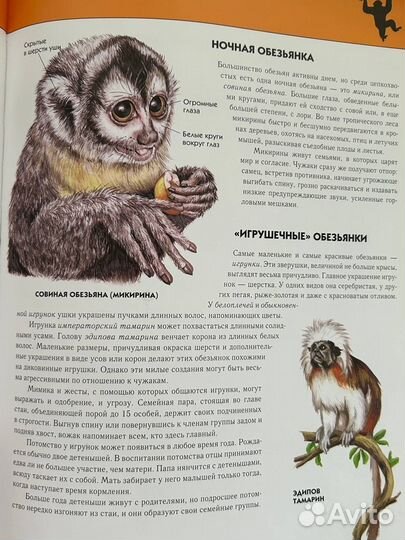 Детские энциклопедии