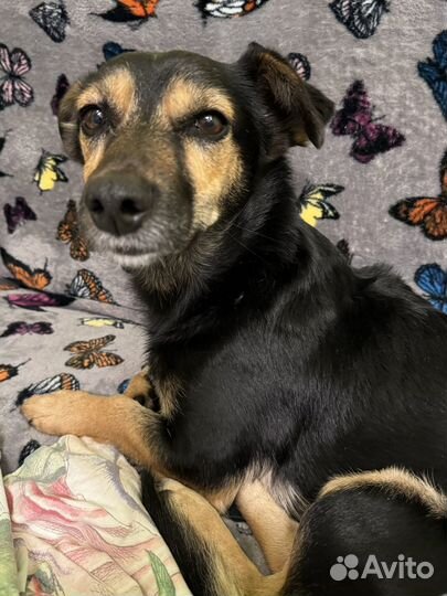 Найдись поскорее единственный друг