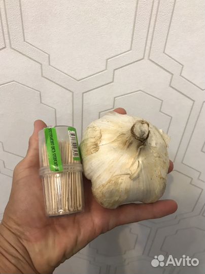 Чеснок рокамболь
