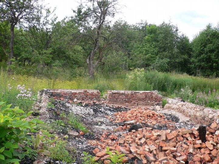 Участок 50 сот. (ИЖС)