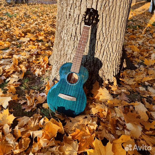 Укулеле Enya EUT-MAD