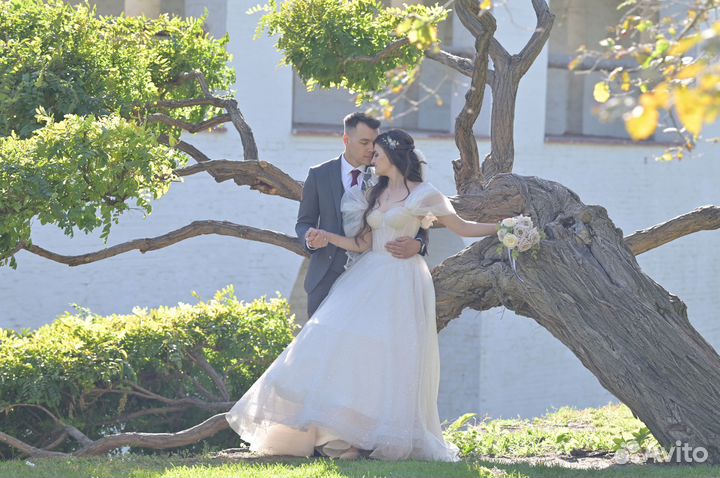 Фотограф, видеограф