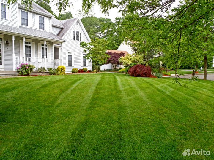 Рулонный газон - производство,доставка,укладка