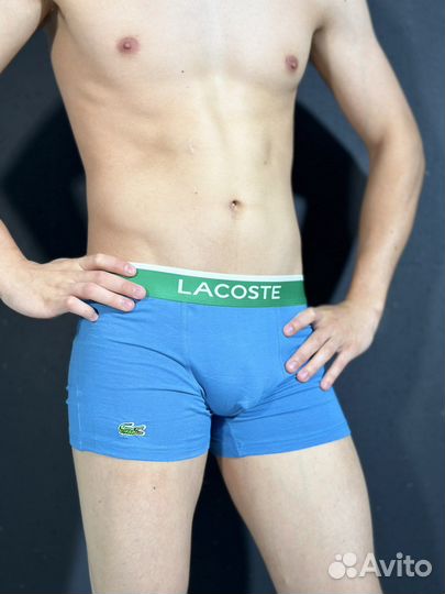 Трусы мужские lacoste, tommy hilfiger