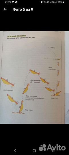 Ловля судака