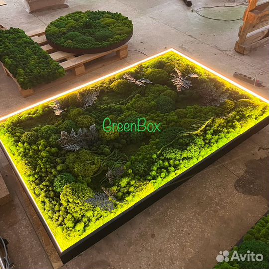 Панно из мха с подсветкой