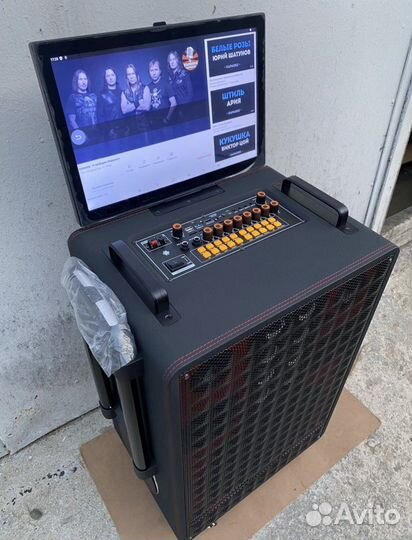 Комбоусилитель караоке с монитором