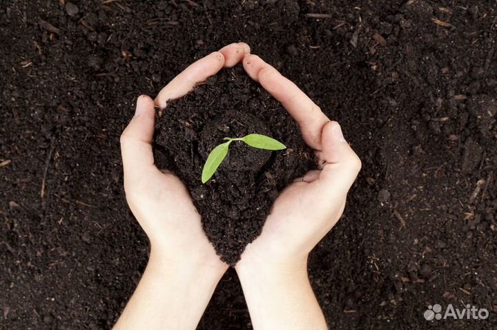 Доставка чернозема, плодородного грунта