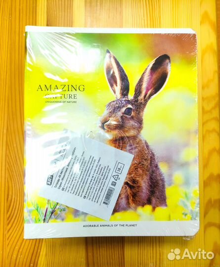 Тетрадь общая, 48 листов, клетка, А5 