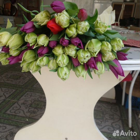 Тюльпаны пионовидные и лаптоп