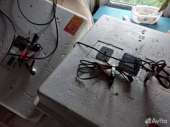 Инкубатор для яиц автоматический бу
