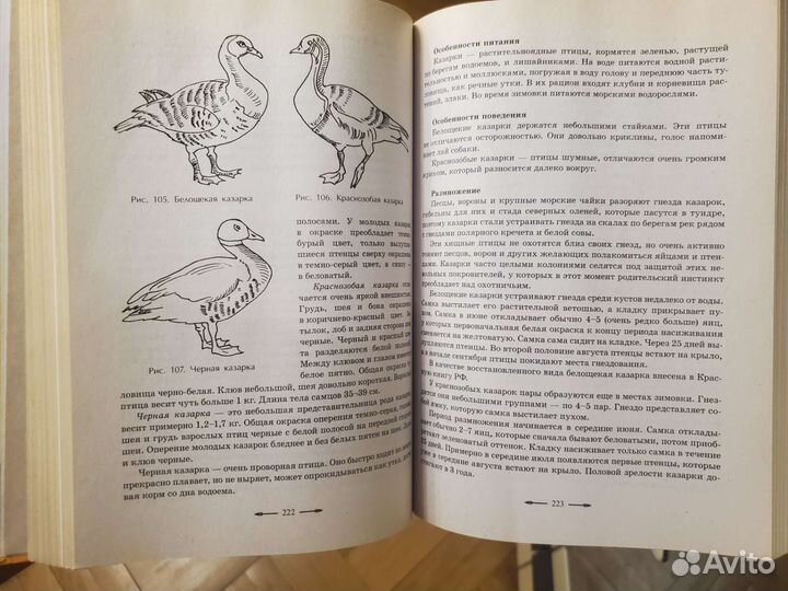 Золотая книга охотника