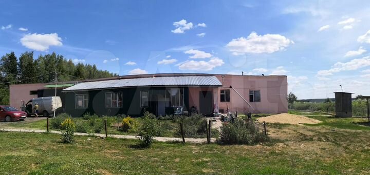 Участок 55 сот. (СНТ, ДНП)