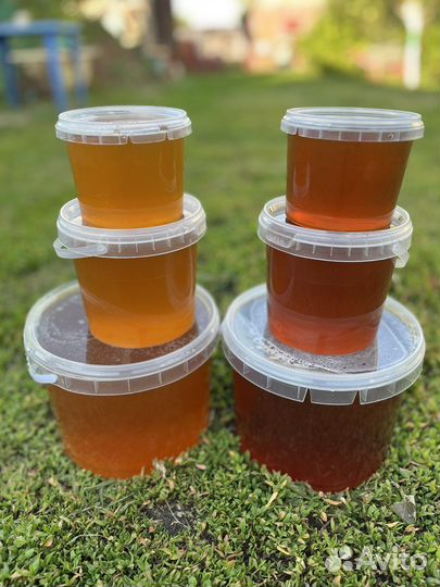 Мед башкирский, пыльца, прополис, Слкмск