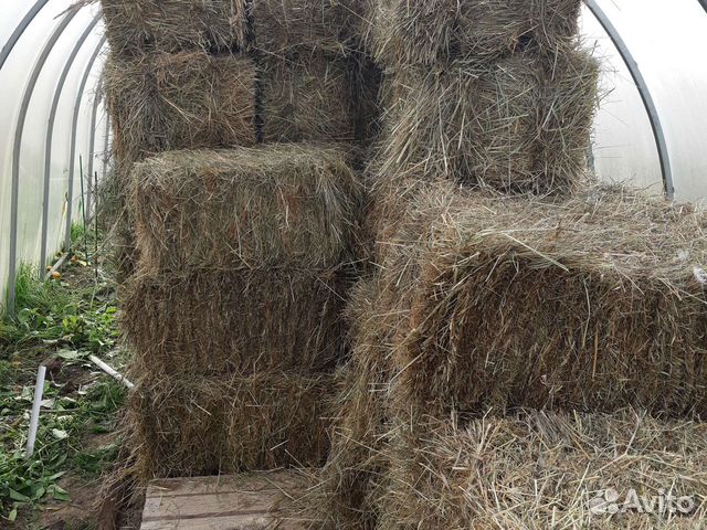Сено в тюках