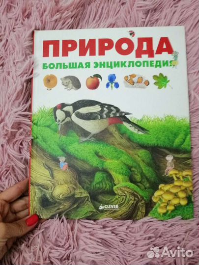 Энциклопедия