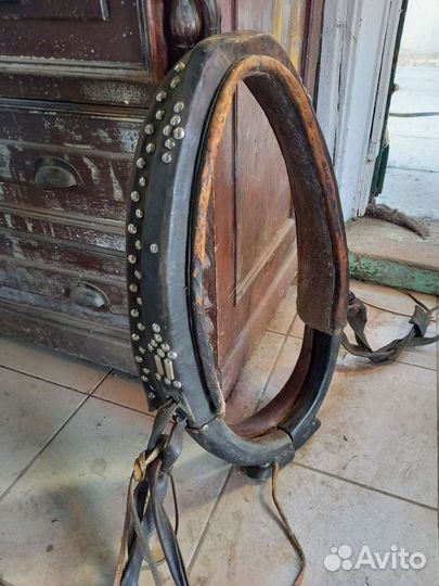 Хомут для лошади