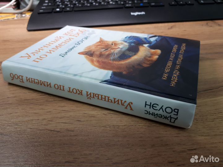 Уличный кот по имени Боб. Джеймс Боуэн