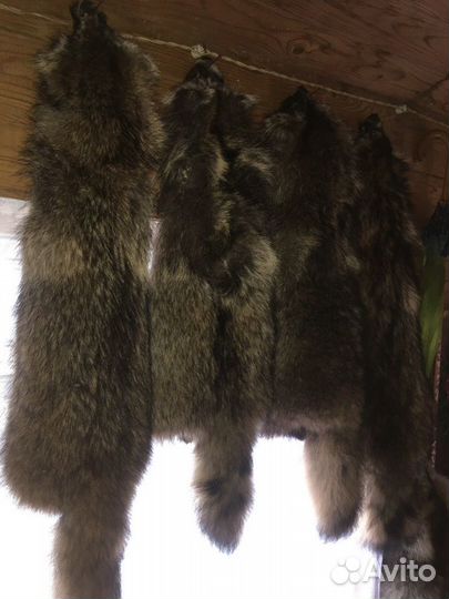 Шкуры