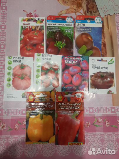 Рассада помидор