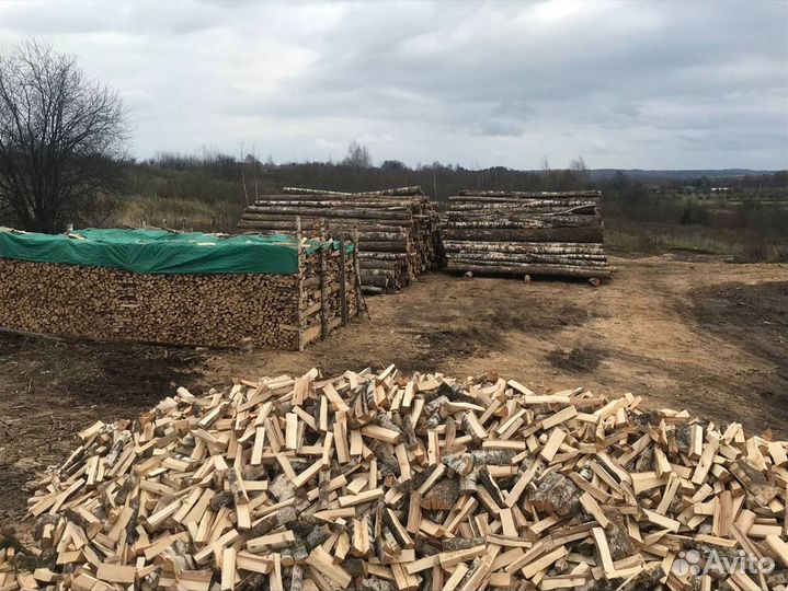 Дрова береза