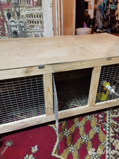 Брудер для цыплят (клетка)