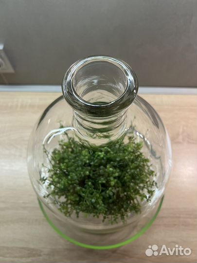 Флорариум 42 см/26см