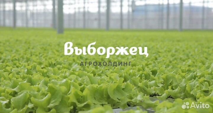 Оператор моечной машины