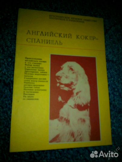 Книга