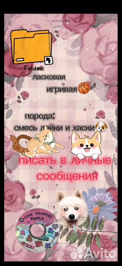 Отдам в хорошие ручки