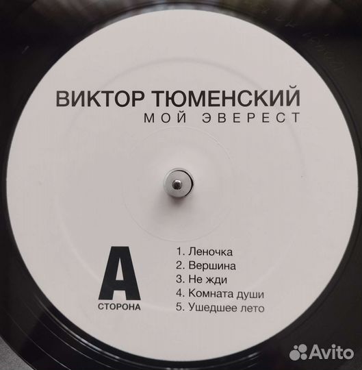 Виктор Тюменский (2016) - Мой Эверест - LP