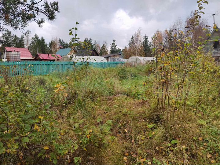 Участок 8 сот. (СНТ, ДНП)