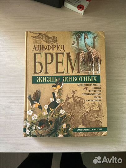 Книга Альфред Брем Жизнь Животных