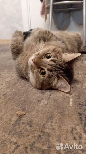 Apple TV 4K 64gb 2022