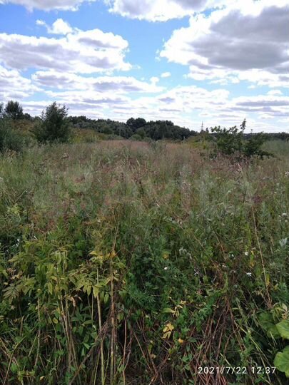 Участок 21 сот. (ИЖС)