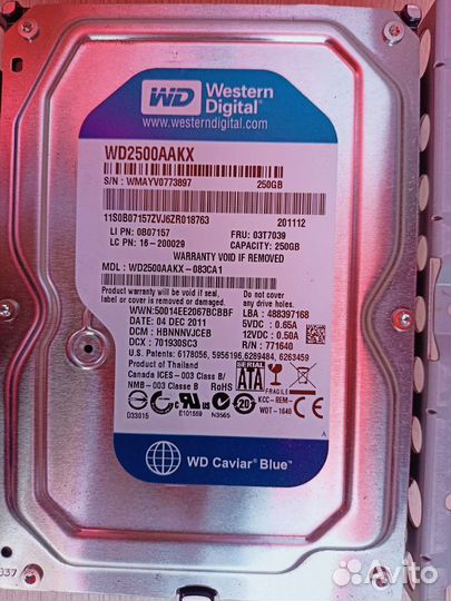 Жесткий диск WD 250 гб
