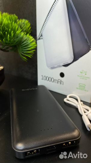 Внешний аккумулятор Power Bank Maimi Mi1