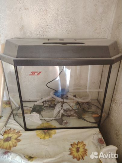 Аквариум