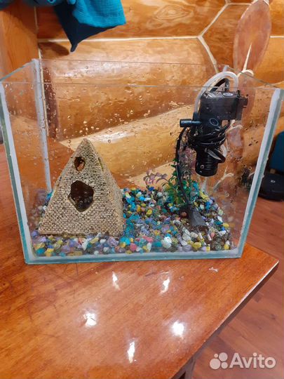 Аквариум