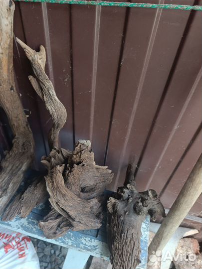 Коряги с реки Очëр не обработанные