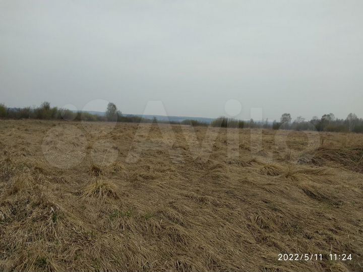 Участок 10 сот. (СНТ, ДНП)