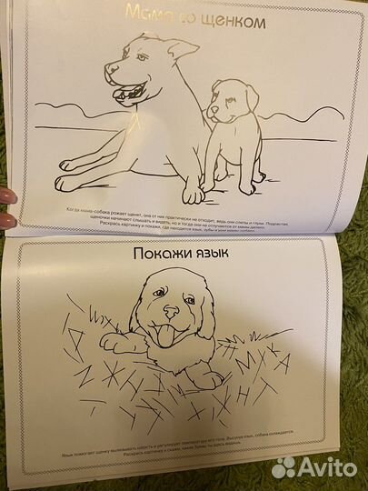 Детские раскраски