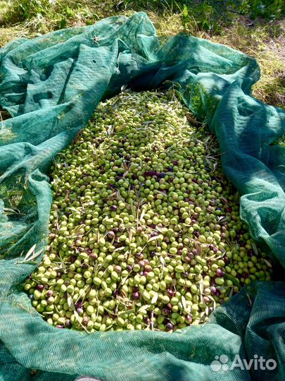 Оливковое масло Extra Vergine из Сицилии