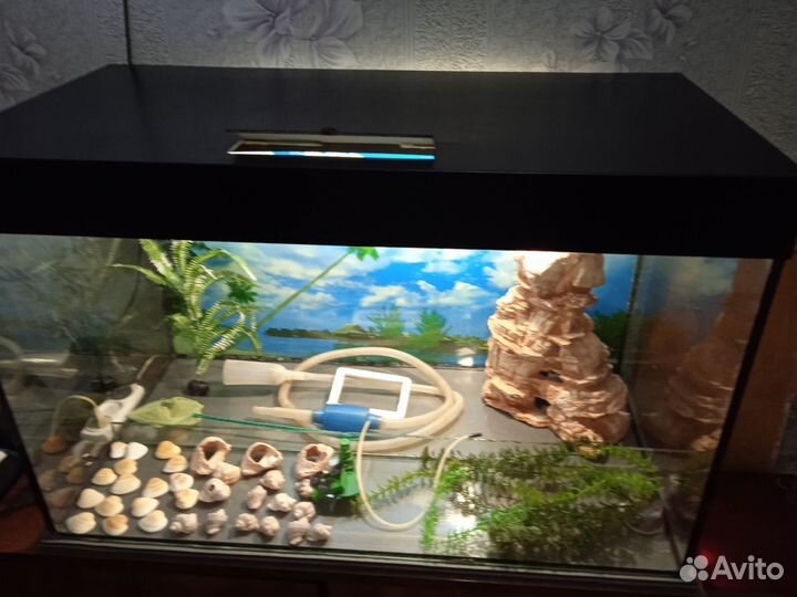 Аквариум